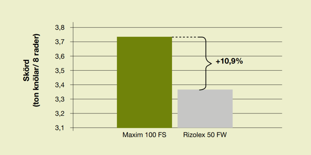 10,9% högre skörd med Maxim 100 FS