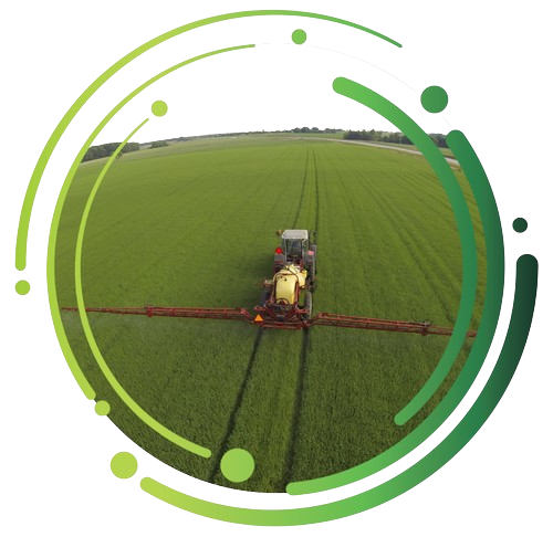 Herbicide resistens