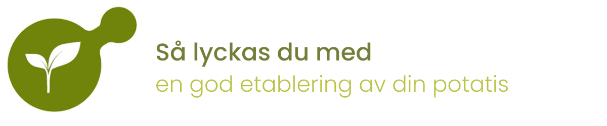 Så lyckas du med en god etablering av din potatis