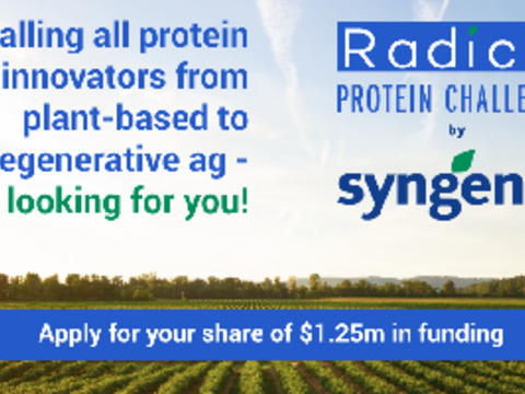 Radicle Protein Challenge