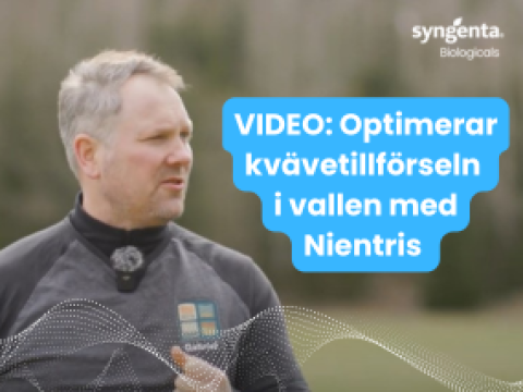 NIENTRIS i vall