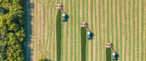 Good Growth Plan - Syngenta