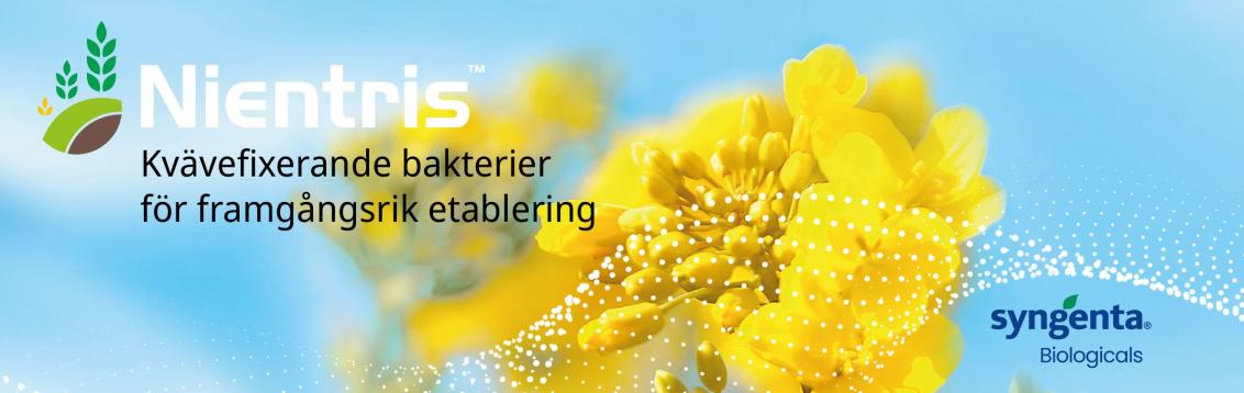 NIENTRIS - Kvävefixerande bakterier