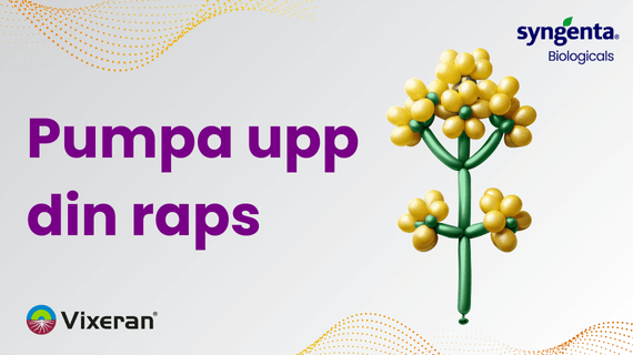 VIXERAN i raps