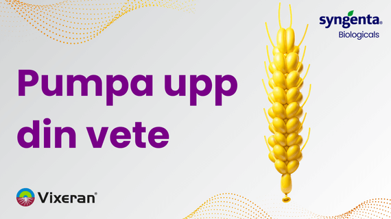 VIXERAN i vete