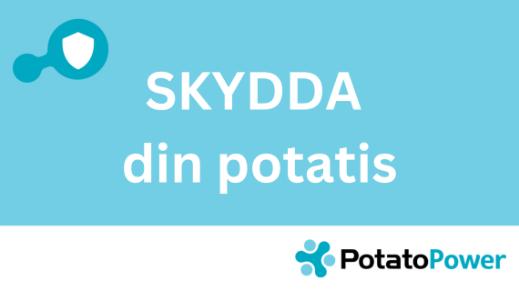 Skydda din potatis
