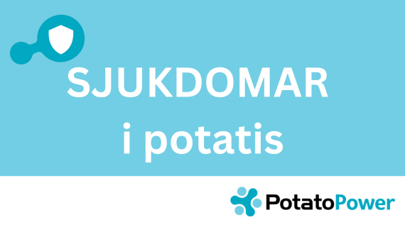 Sjukdomar i potatis
