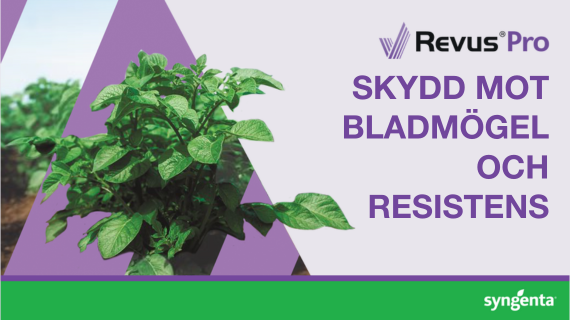 REVUS Pro svampmedel mot bladmögel