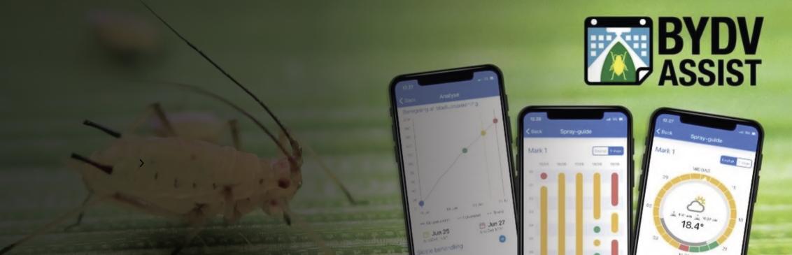 BYDV Assist App bild
