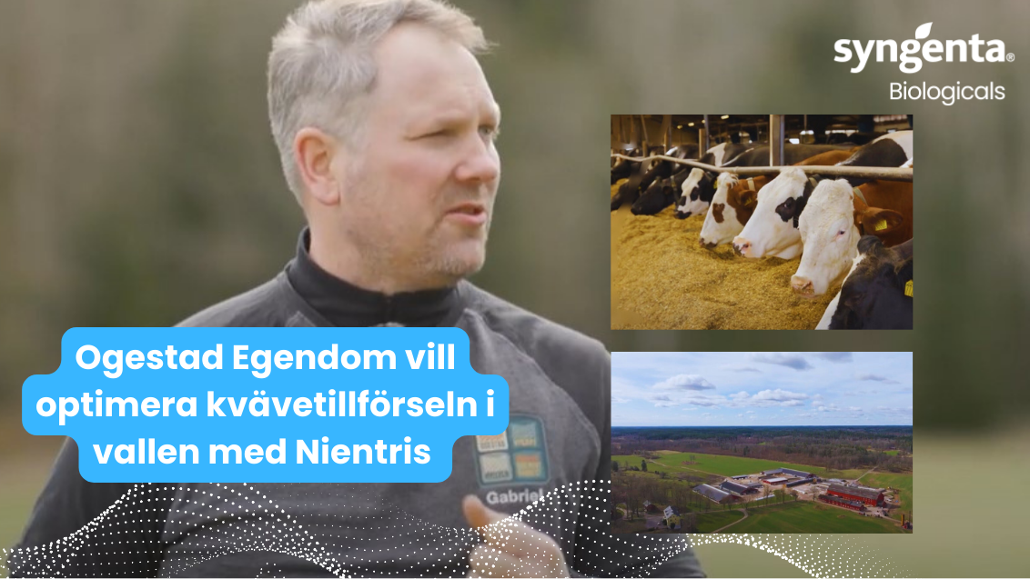 NIENTRIS i vall