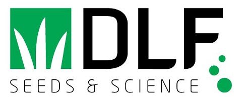 DLF logo