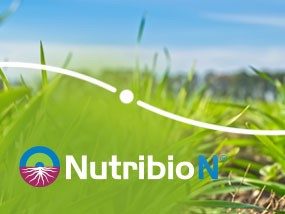 Nutribio N biostimulant