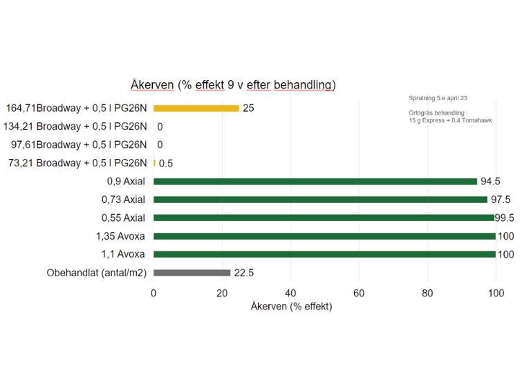 Försök från 2023 i Kristianstad visar att Avoxa har starkast effekt mot ALS-resistenta åkervensorter.