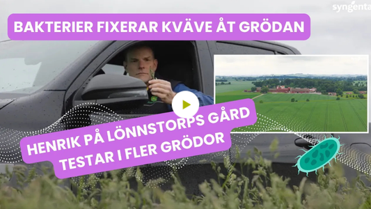 Man i bil tittar ut över åker; text om bakterier och test av grödor.