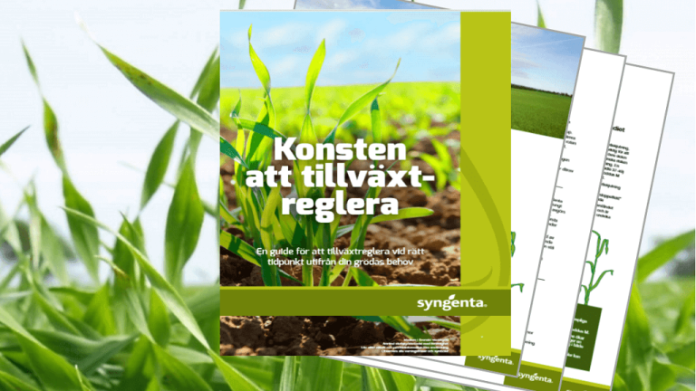 Moddus Start - guide till tillväxtreglering