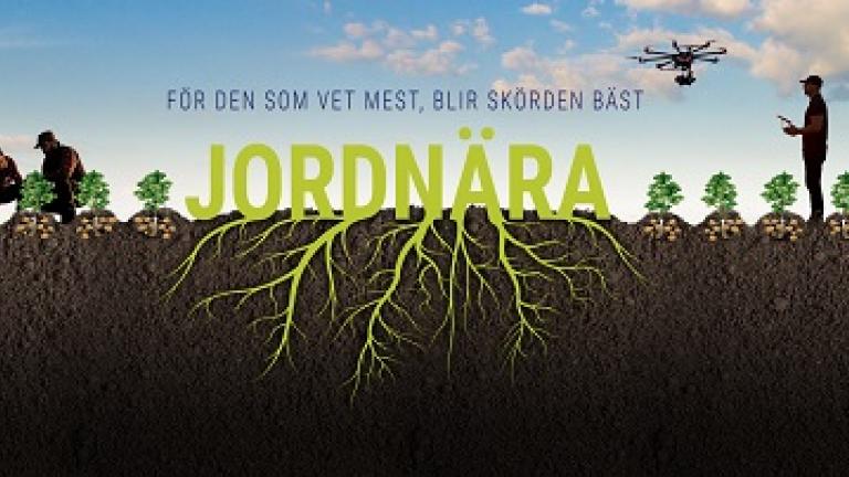 Potatis nyhetsbrev