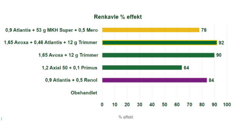 RenkavleEtt försök från Klagstrop 2023 visar att den bästa strategin mot renkavle inkluderar AVOXA. Försök med höstvete, sprutas vid tillväxtstart på våren. 