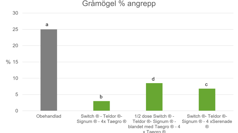 TAEGRO mot gråmögel i jordgubbar Försök från Borgeby 2023 visar att TAEGRO har bra effekt mot gråmögel och det är möjligt att minska doseringen av kemiska produkter genom att tillsätta TAEGRO i behandlingarna.  