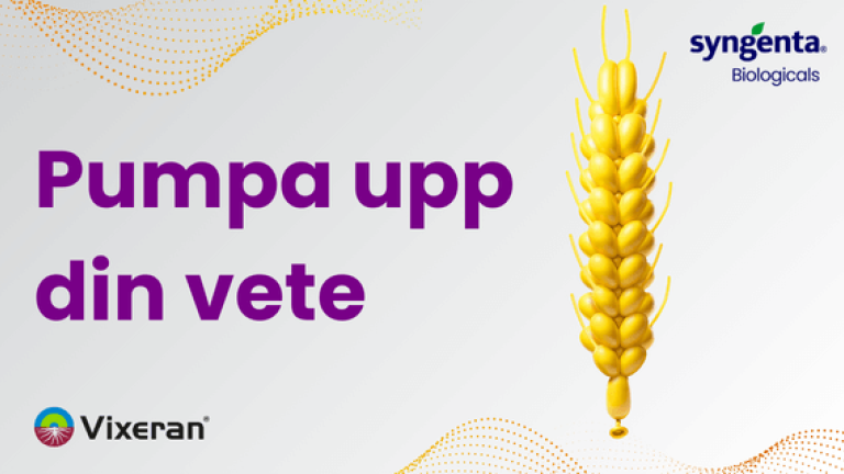 VIXERAN i vete