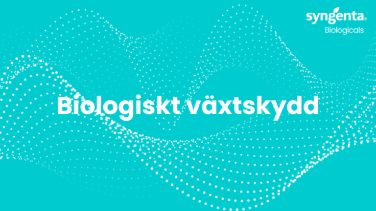 Skydda dina grödor med biologiskt växtskydd​