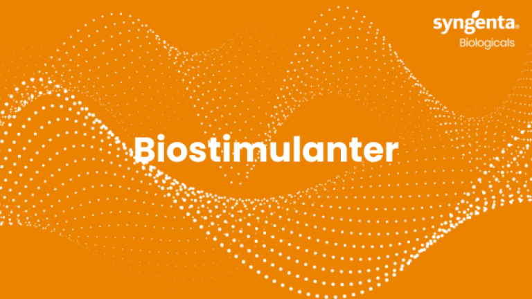 Biostimulanter - Stärk dina grödor för att klara stress och kritiska fase