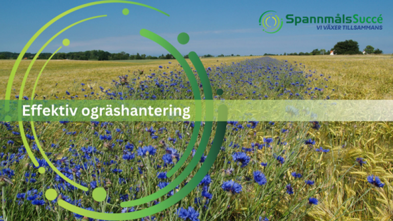 Ogräshantering