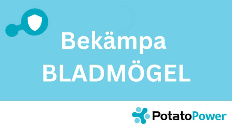 Bekämpa bladmögel