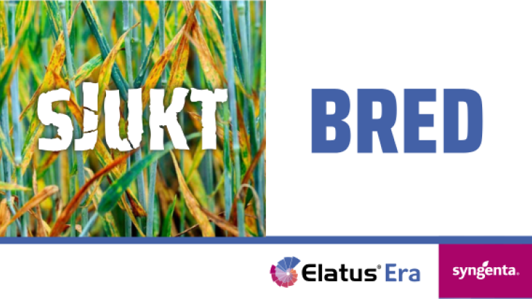 ELATUS Era banner
