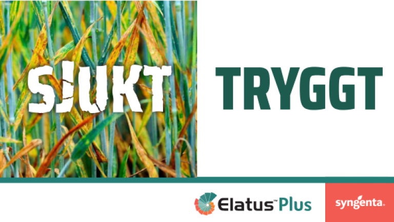 ELATUS Plus - en trygg bas för att skydda din gröda mot svamp
