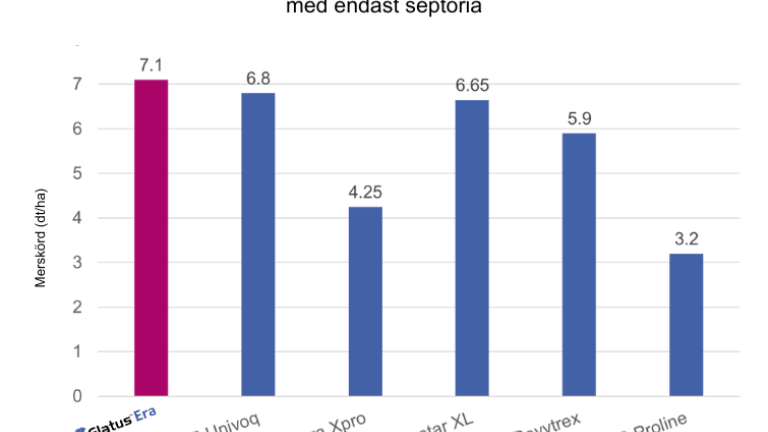 Effekt av fungicider mot svartpricksjukaGrafen visar merskörd (dt/ha) vid försök med enbart septoria, där olika fungicider jämfördes. ELATUS Era resulterade i den högsta merskörden, vilket indikerar en effektiv kontroll av svartpricksjuka jämfört med andra fungicider i försöket.