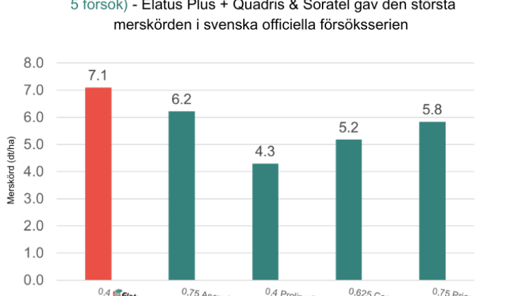 ELATUS Plus-kombination ger högst merskörd i vårkorn 2024Grafen visar merskörden för olika fungicider i vårkorn enligt svenska officiella försök 2024. Kombinationen ELATUS Plus, Quadris och Soratel gav högst merskörd på över 7 dt/ha, vilket överträffar andra testade alternativ. Resultaten baseras på genomsnittet av 5 försök.