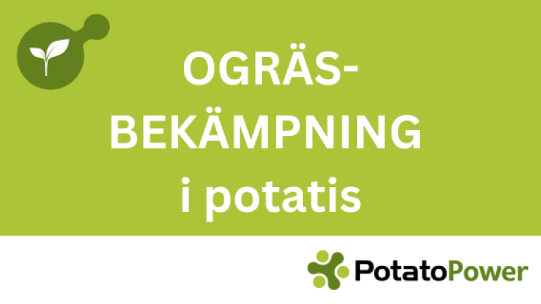 Ogräsbekämpning i potatis