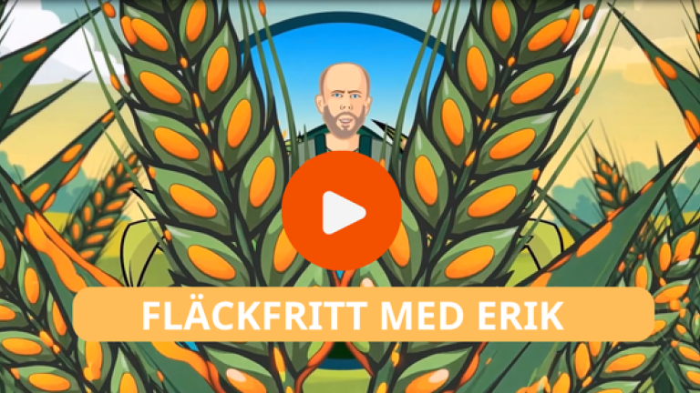 Fläckfritt med Erik