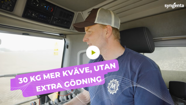 VIXERAN video - Vixeran i raps – 30 kg mer kväveupptag på hösten och lägre vårgiva på Lönnstorps gård