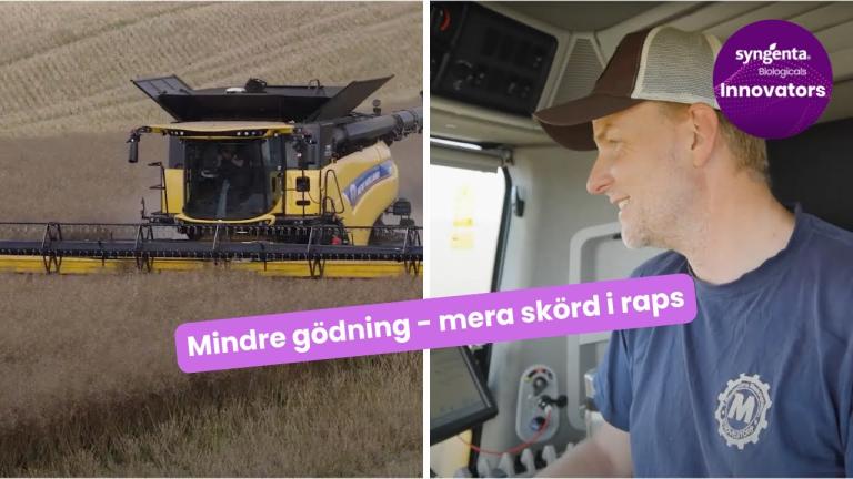 Mindre gödning mera skörd i raps - Vixeran-test på riktigt, hör analysen efter skörd