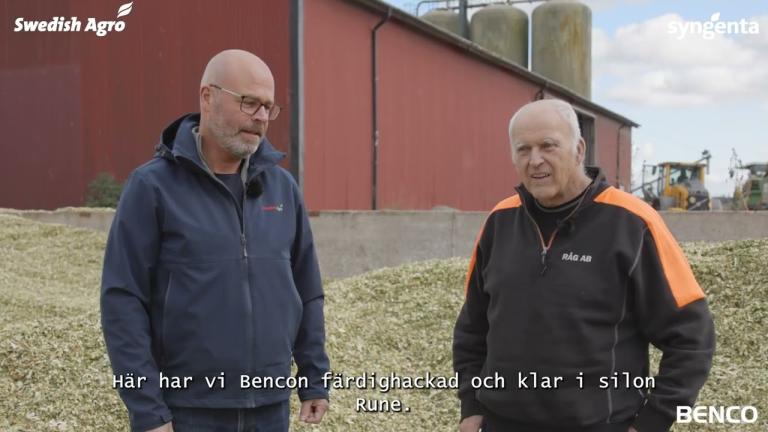 Hur det går med skörden av Benco?