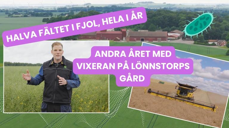 Halva fältet i fjol, hela i år: Så går det med Vixeran i rapsen på Lönnstorps gård