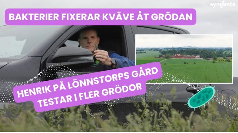 Kan bakterier fixera kväve åt grödan? Lönnstorps gård testar Vixeran i fler grödor
