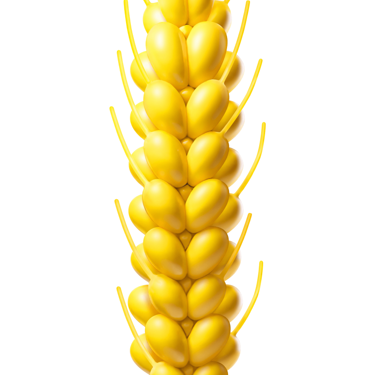 VIXERAN vete ballon