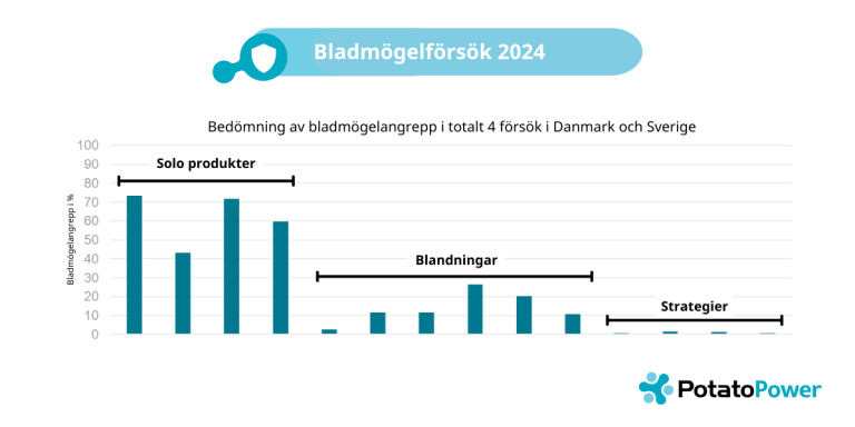 Bladmögelförsök 2024