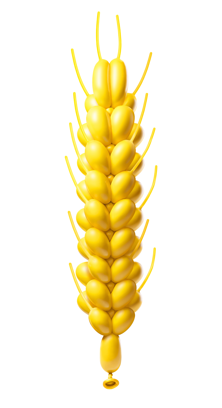 VIXERAN vete ballon