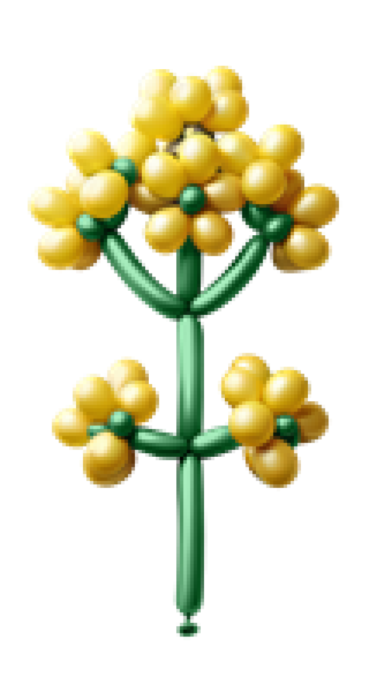 Raps VIXERAN ballon