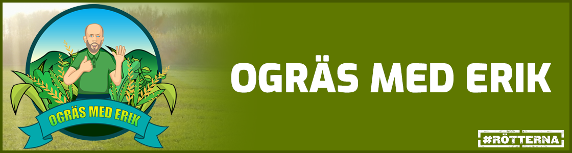 Ogräs med Erik