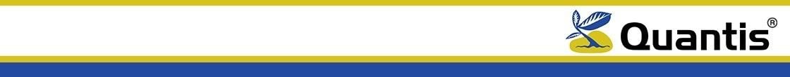 Quantis logobanner