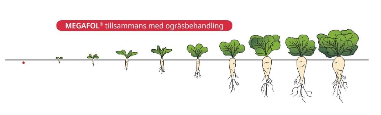MEGAFOL - biostimulant för att öka växtens motståndskraft