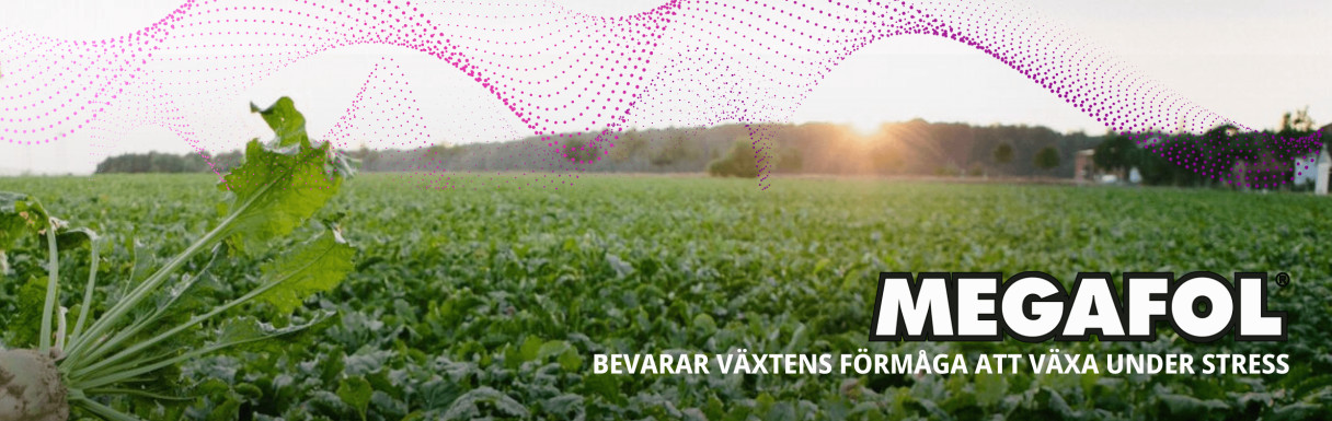 Megafol biostimulant