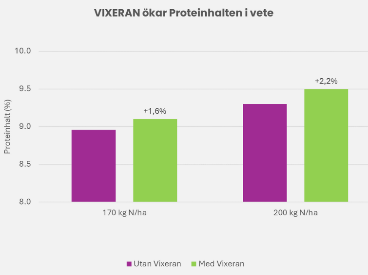 VIXERAN ökar proteinhalten i vete