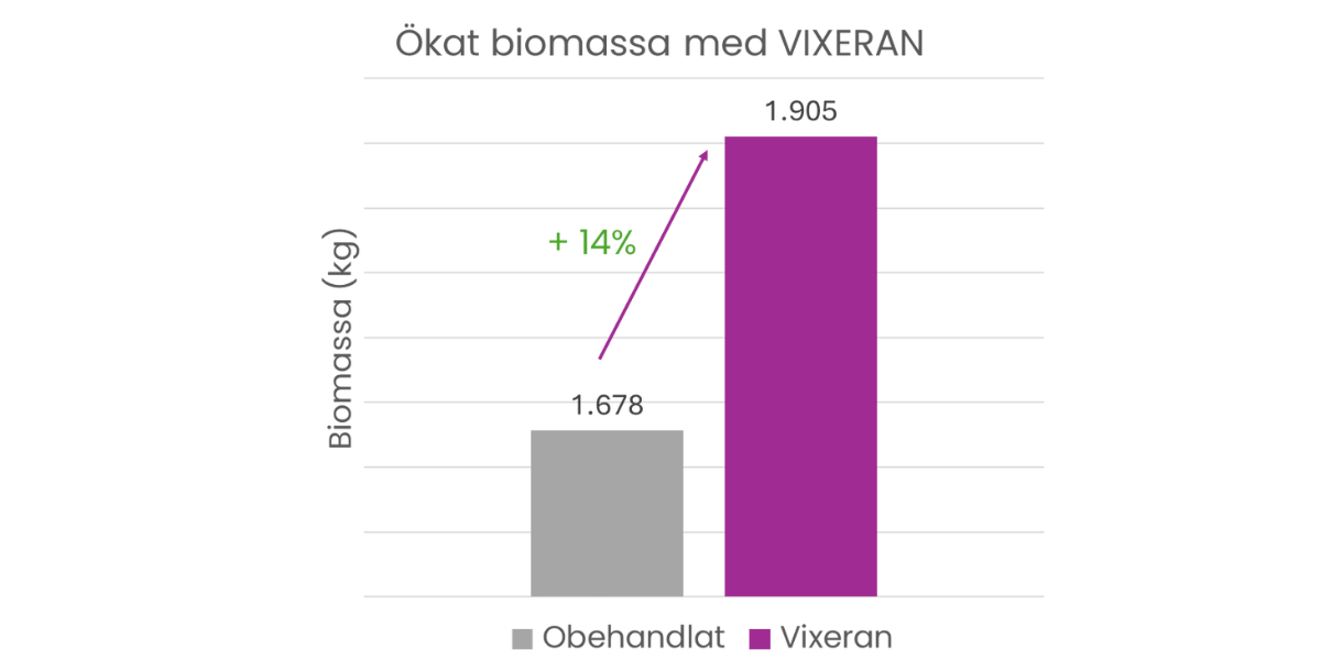 Ökad biomassa i raps med VIXERAN 