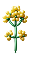 Raps VIXERAN ballon