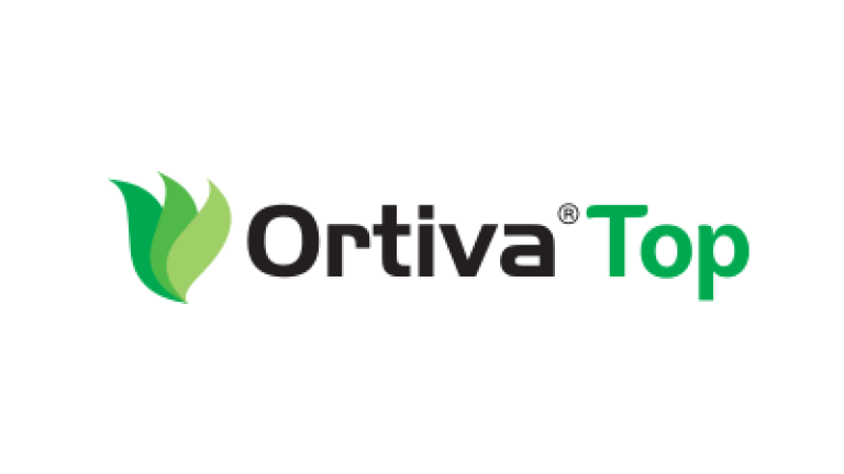 Ortiva Top logo